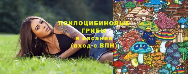 ГАЛЛЮЦИНОГЕННЫЕ ГРИБЫ Алексеевка