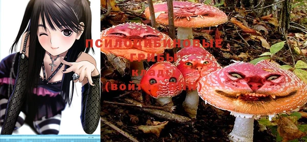 кокс Абдулино