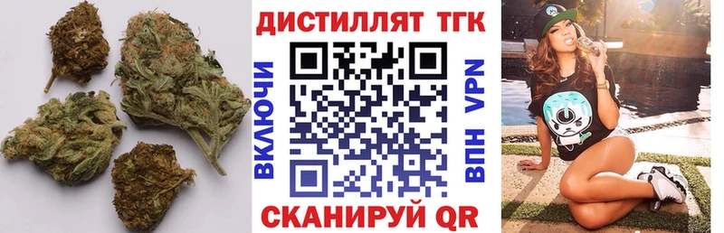 купить закладку Тында мега зеркало Дистиллят ТГК THC oil