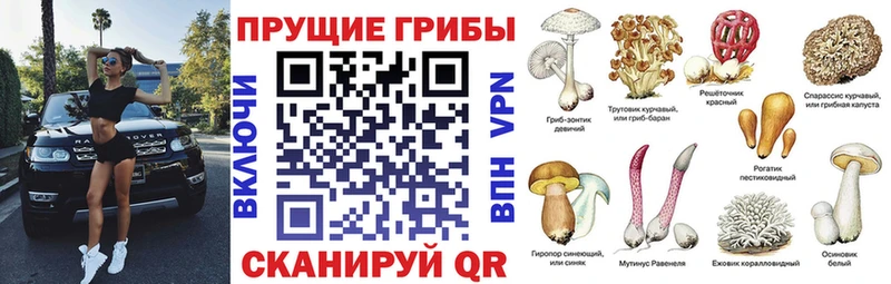 Галлюциногенные грибы мухоморы Тында